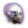 32px-icon_memory.png